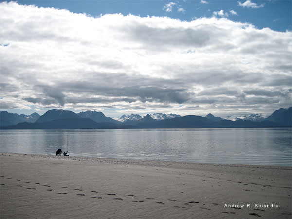 Lone Fisher by Andrew R. Sciandra